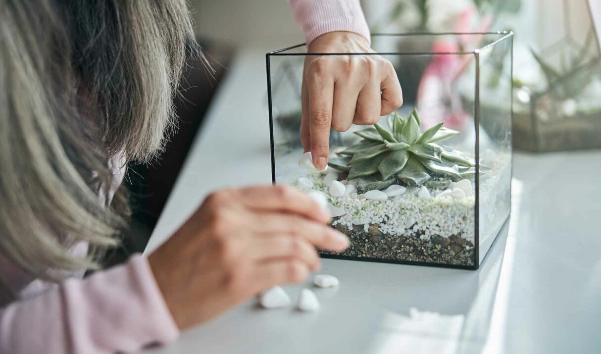 Consectetur Mattis Fermentum Ullamcorper Ipsum